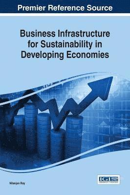 bokomslag Business Infrastructure for Sustainability in Developing Economies