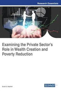 bokomslag Examining the Private Sector's Role in Wealth Creation and Poverty Reduction