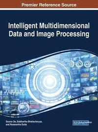 bokomslag Intelligent Multidimensional Data and Image Processing
