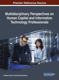 bokomslag Multidisciplinary Perspectives on Human Capital and Information Technology Professionals
