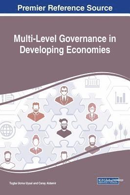 Multi-Level Governance in Developing Economies 1