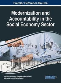 bokomslag Modernization and Accountability in the Social Economy Sector