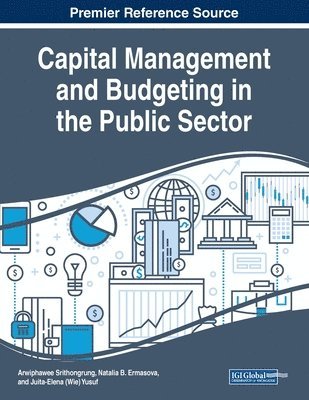 Arwiphawee Srithongrung, Natalia B. Ermasova, Juita-Elena (Wie) Yusuf - Capital Management and Budgeting in the Public Sector, Häftad