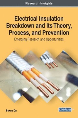 Electrical Insulation Breakdown and Its Theory, Process, and Prevention 1