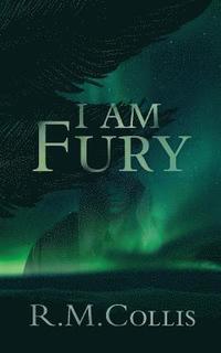 bokomslag I Am Fury