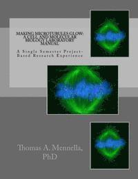bokomslag Making Microtubules Glow: A Cell and Molecular Biology Laboratory Manual: A Single Semester Project-Based Research Experience