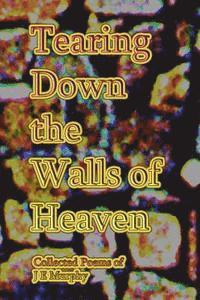 bokomslag Tearing Down the Walls of Heaven: Collected Poems