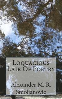 bokomslag Loquacious Lair Of Poetry