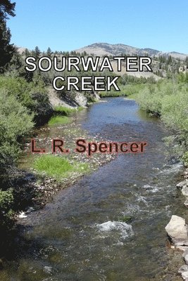 Sourwater Creek 1