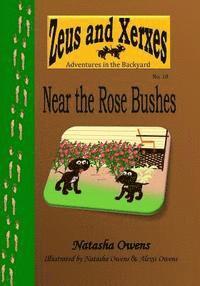 bokomslag Near the Rose Bushes