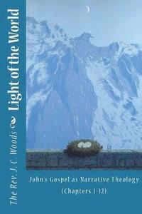 bokomslag Light of the World: John's Gospel as Narrative Theology (Chapters 1-12)