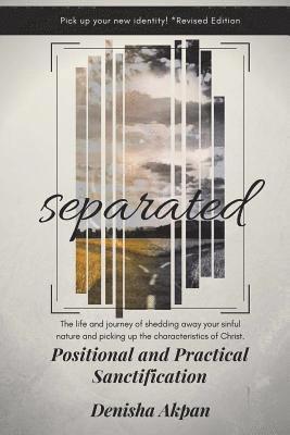 bokomslag Separated: Positional and Practical Sanctification