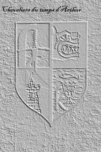 Erin Bravac - Chevaliers du temps d'Arthur, Häftad