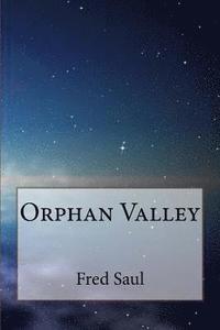 bokomslag Orphan Valley