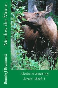 bokomslag Meadow the Moose