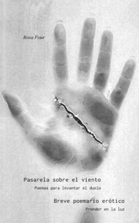 bokomslag Pasarela sobre el viento / Breve poemario erótico