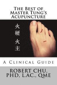 bokomslag The Best of Master Tung's Acupuncture: A Clinical Guide
