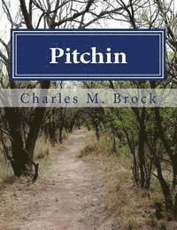 bokomslag Pitchin: The Story of an Early Illinois Colony, its Civil War Participation, and a Family Remembrance