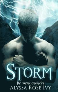 bokomslag Storm: Book 5 of the Empire Chronicles