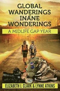 bokomslag Global Wanderings & Inane Wonderings: A Midlife Gap Year