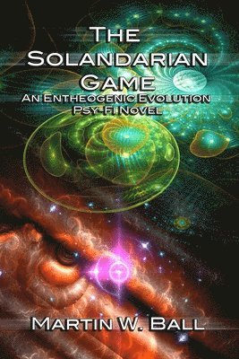 bokomslag The Solandarian Game