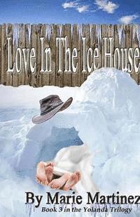 bokomslag Love in the Ice House