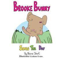 bokomslag Brooke Bunny saves the day