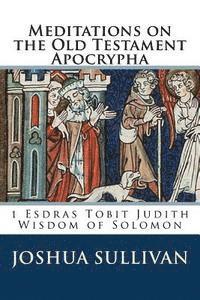 Joshua W. Sullivan - Meditations on the Old Testament Apocrypha: 1 Esdras Tobit Judith Wisdom of Solomon, Häftad