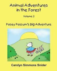 bokomslag Posey Possum's Big Adventure