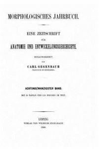 bokomslag Morphologisches Jahrbuch