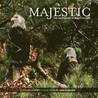 bokomslag Majestic: The Bald Eagles of Berry College
