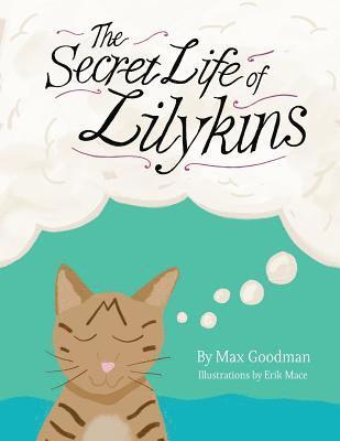 bokomslag The Secret Life of Lilykins