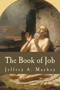 bokomslag The Book of Job: A Commentary