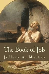 The Book of Job: A Commentary 1