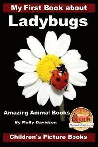 bokomslag My First Book about Ladybugs - Amazing Animal Books - Children's Picture Books
