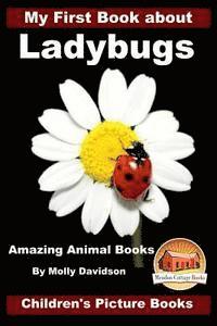 My First Book about Ladybugs - Amazing Animal Books - Children's Picture Books 1