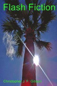 Christopher J. F. Gibson - Flash fiction, Häftad