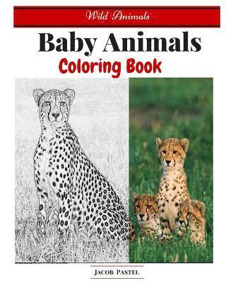 bokomslag Baby Animals Coloring Book: Wild Animals Coloring Book ( Dover Coloring Books Animals )