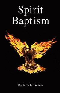 bokomslag Spirit Baptism
