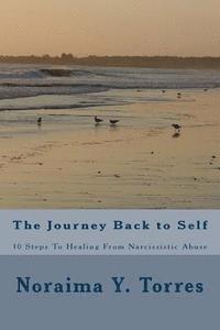 bokomslag 10 Steps to Healing after Narcissistic Abuse