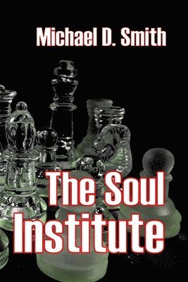 bokomslag Soul Institute