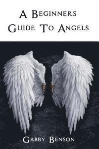 bokomslag Beginners Guide to Angels