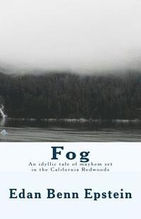 bokomslag Fog