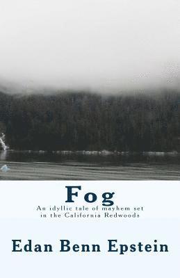 Fog 1