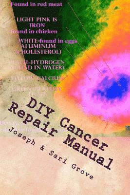 bokomslag DIY Cancer Repair Manual: Including: DIY Diagnostic Imaging