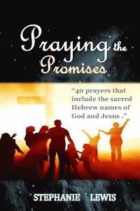 bokomslag Praying the Promises