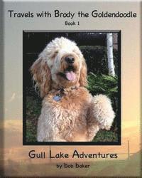 Bob Baker - Travels with Brody the Goldendoodle Book 1 Gull Lake Adventures: Travels with Brody the Goldendoodle Book 1 Gull Lake Adventures, Häftad