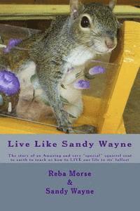 bokomslag Live Like Sandy Wayne: The story of an Amazing and very 'special' squirrel sent to earth to teach us how to LIVE our life to its' fullest
