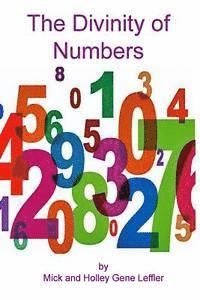bokomslag The Divinity Of Numbers
