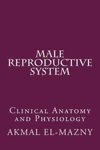 bokomslag Male Reproductive System
